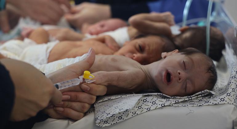 Los bebés son preparados para su evacuación del hospital Al-Shifa, en la ciudad de Gaza.