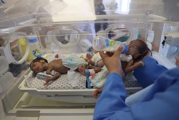 Bebês resgatados do hospital Al Shifa, no norte de Gaza, são tratados em um hospital em Rafah, no sul da Faixa (arquivo)