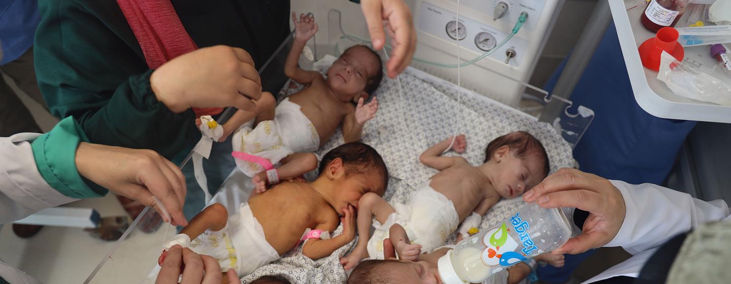 在加沙北部希法医院的新生儿。