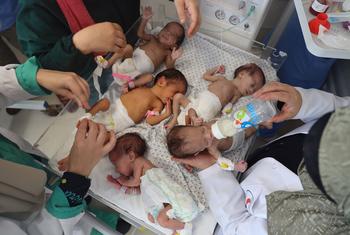 غزہ کے الشفاء ہسپتال میں نومولود بچوں کی دیکھ بھال کی جا رہی ہے (فائل)۔