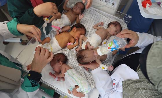Gaza crisis: Babies being born &lsquo;into hell&rsquo; amid desperate aid shortages