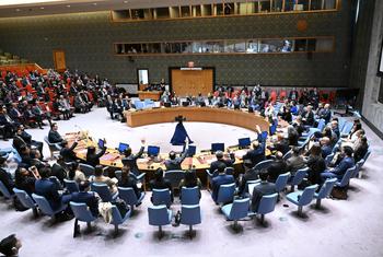قاعة مجلس الأمن الدولي.