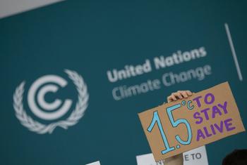 Civil society groups at COP29 in Baku, Azerbaijan, advocate for climate financing initiatives that are in line with the Paris Agreement.