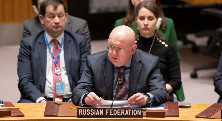 俄罗斯常驻联合国代表涅边贾在安理会发言。