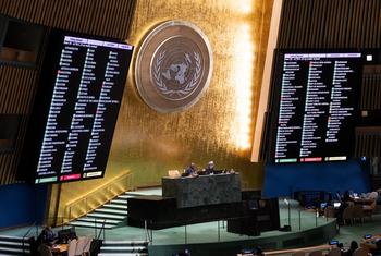 قرارداد کے حق میں 157 اور مخالفت میں 8 ووٹ آئے جبکہ 7 ارکان (ممالک) نے رائے شماری میں حصہ نہیں لیا۔