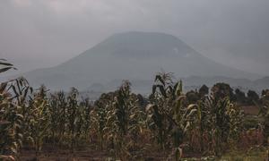 Farmlands in eastern Democratic Republic of the Congo, where many communities have been displaced due to conflict and disasters. (file photo)