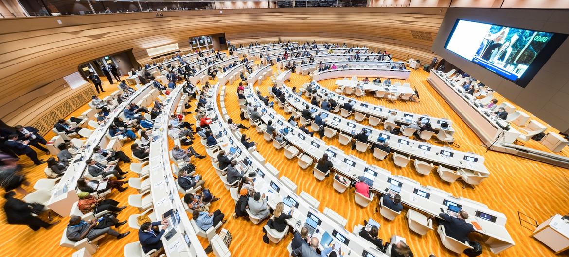 Delegates meeting in a committee at the 78th World Health Assembly. Delegates meeting in a committee at the 78th World Health Assembly.