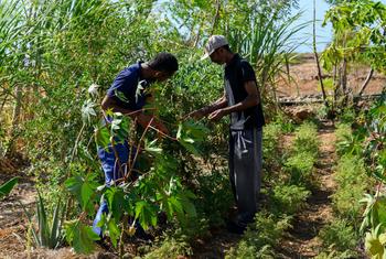 Deux hommes travaillant sur un projet de résilience climatique des Nations Unies à Santo Antão, Cabe Verde.