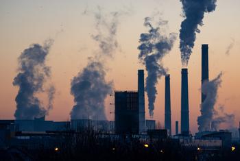 化石燃料发电厂是导致气候变化的温室气体的最大排放源之一。