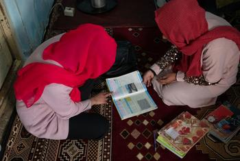 स्कूली पढ़ाई रुक जाने के बाद एक अफ़ग़ान लड़की अपने पिता की मदद से घर पर पढ़ाई करते हुए.