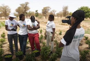 Anta Sarr from the Thiès region in Senegal where her and four of his friends have benefited from the Agrijeunes project implemented by IFAD.