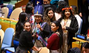 Participants attend the opening of the 24th Session of the Permanent Forum on Indigenous Issues.