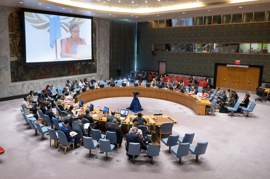 إحاطة المستشارة الخاصة للأمم المتحدة لمنع الإبادة الجماعية، أليس نديريتو (على الشاشة) أثناء إحاطتها أمام مجلس الأمن.