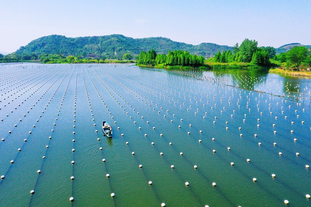 Sistema Pesquero Compuesto de Mejillones Perla de Agua Dulce de Deqing en la Provincia de Zhejiang, China.