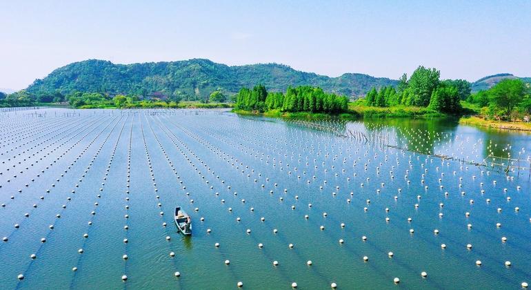 Sistema Pesquero Compuesto de Mejillones Perla de Agua Dulce de Deqing en la Provincia de Zhejiang, China.