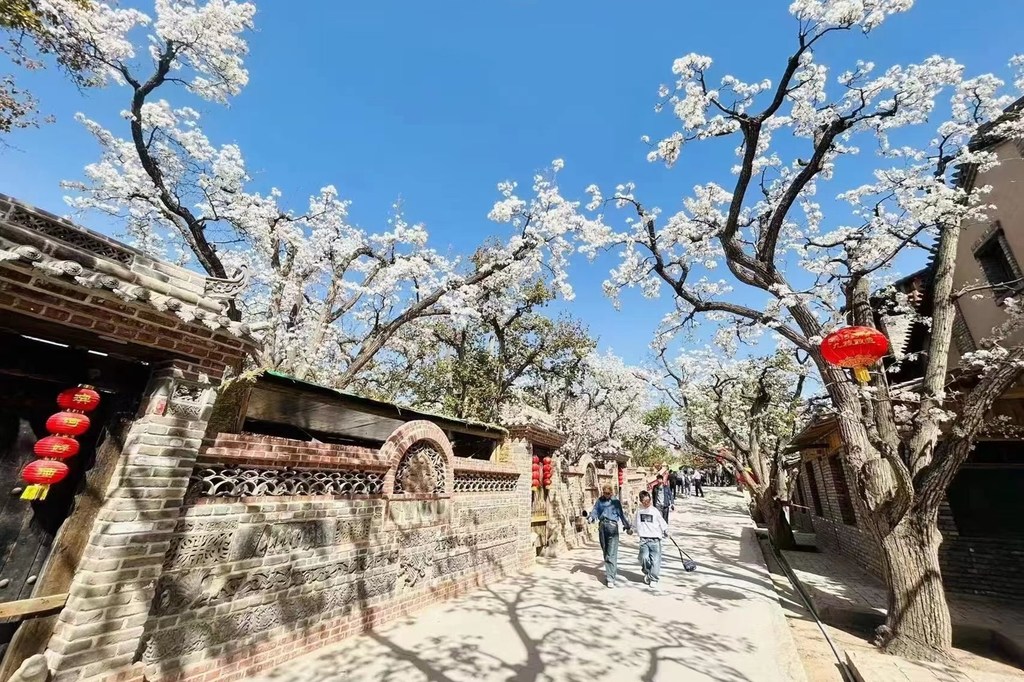 Sistema de huertos de perales antiguos de Gaolan Shichuan, en la provincia de Gansu.
