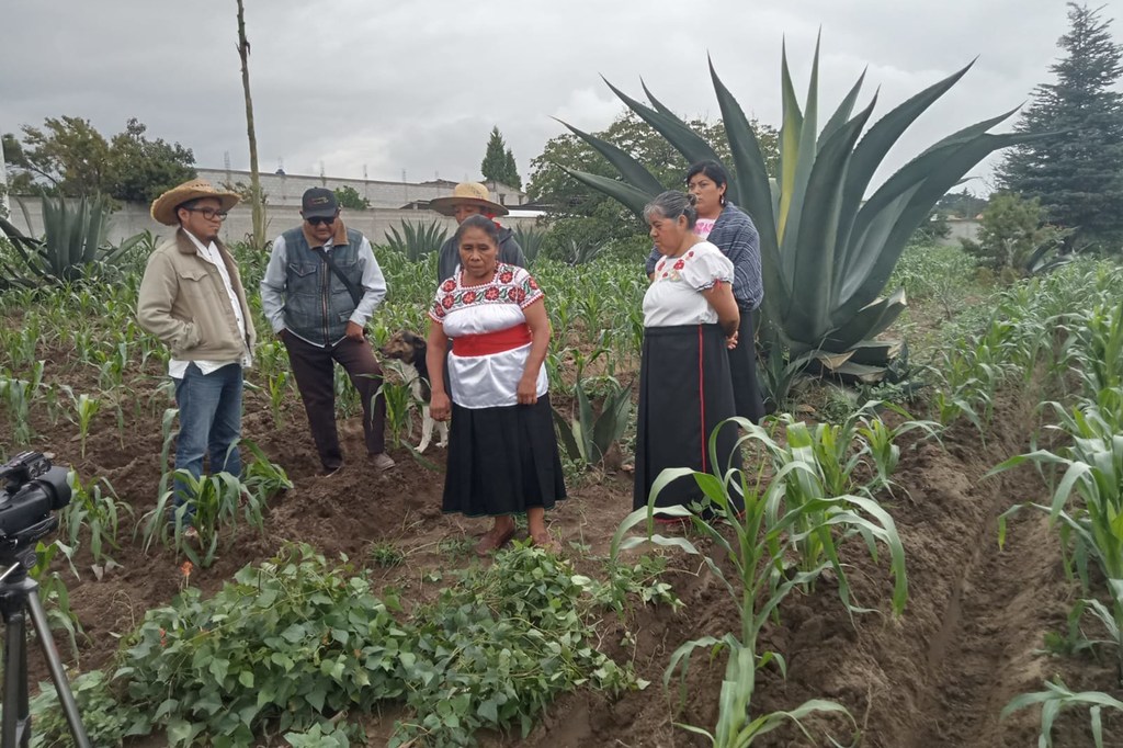 Sistema Agrícola Ancestral Metepantle en las Zonas Montañosas de Tlaxcala.