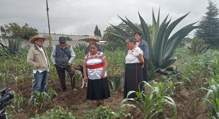 Sistema Agrícola Ancestral Metepantle en las Zonas Montañosas de Tlaxcala.