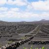 Sistemas Agrícolas en Jable y Arenas Volcánicas en la Isla de Lanzarote, España. Esta zona de viñedos, característica de Lanzarote, es un agrosistema único en el mundo.