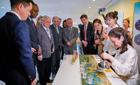 多名外交官及联合国官员驻足观看茶艺表演。