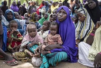 Des mères déplacées avec leurs enfants participent à un exercice d'évaluation de la famine organisé par le PAM dans l'État de Borno, au nord-est du Nigéria (photo d'archives).