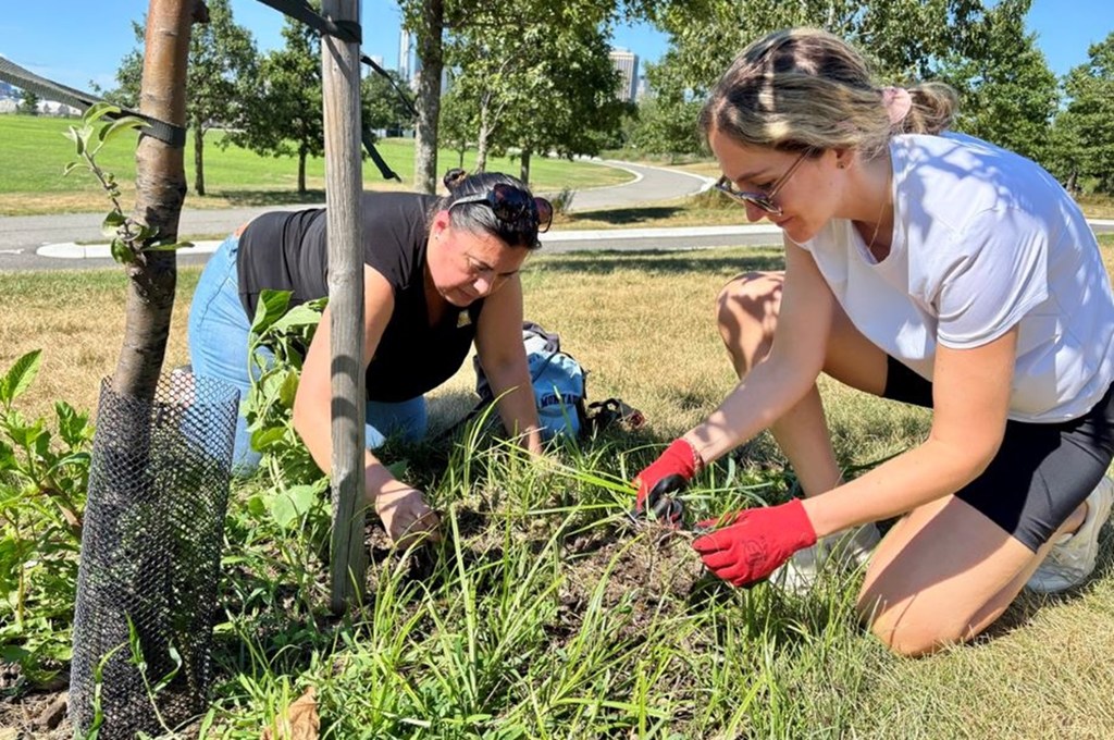 Kazi ya kujitolea kisiwa cha Governors kuadhimisha siku ya kimataifa ya Mandela Julai 18.