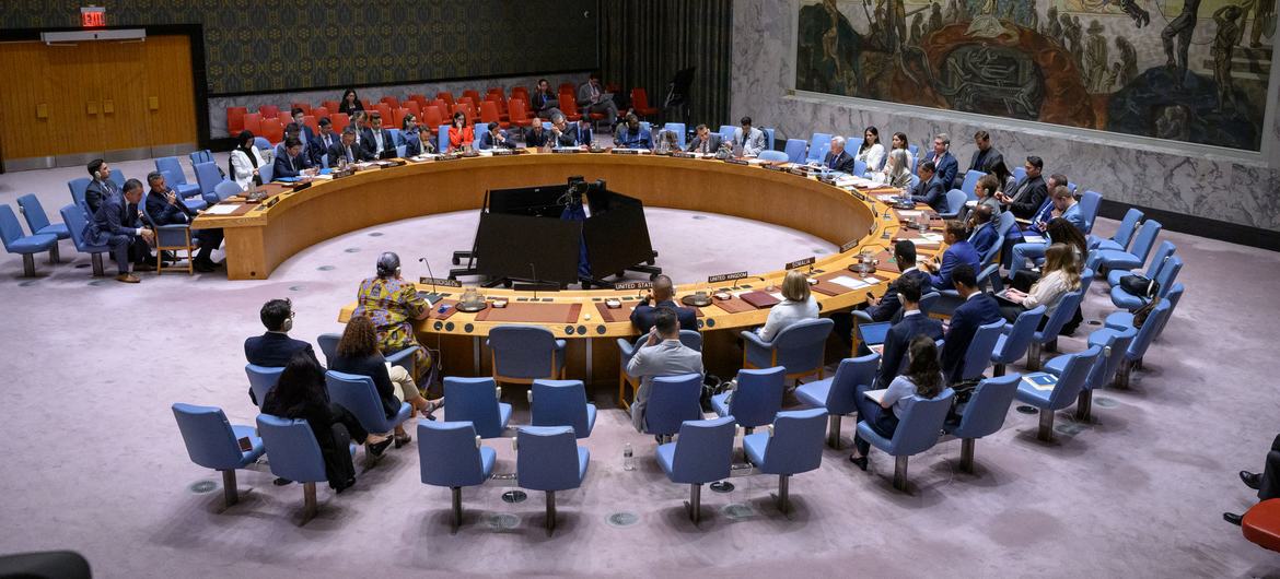 Заседание Совета Безопасности ООН.