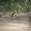 Children wade through a flooded canal in Pakistan, where this year’s monsoon rains have left many families without homes, safe water or schooling. (file photo)