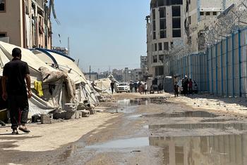 Alors qu'Israël s'apprête à prendre le contrôle de la ville de Gaza, la situation des habitants ne cesse d'empirer.