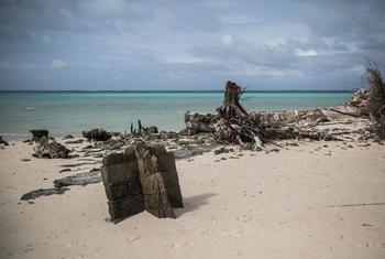 基里巴斯塔拉瓦环礁附近的一座房屋残骸，这里的房屋被海平面上升和风暴潮摧毁，气候变化使情况变得更糟。