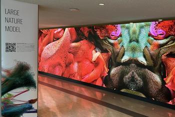  AI Artwork exhibit "Large Nature Model: Coral" by Refik Anadol at UN Headquarters.