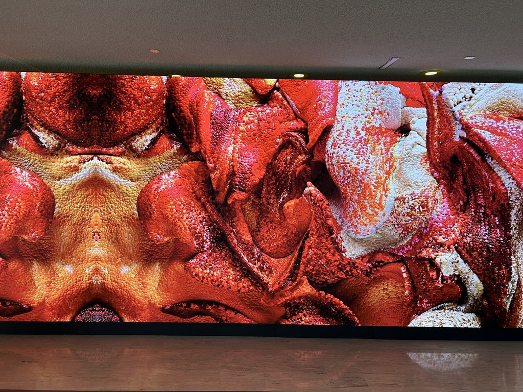"Large Nature Model: Coral" के लिए, लाखों तस्वीरें एकत्र की गईं जिन्हें AI की मदद से ये रूप दिया गया.