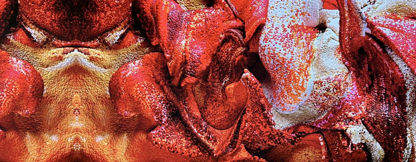 Exposition d'une oeuvre utilisant l'IA, « Grand modèle naturel : corail » de Refik Anadol au siège de l'ONU.