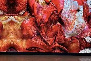 Exposition d'une oeuvre utilisant l'IA, « Grand modèle naturel : corail » de Refik Anadol au siège de l'ONU.