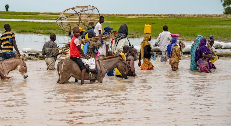 उत्तर-पूर्व नाइजीरिया में रण के निवासी, बाढ़ वाली मुख्य सड़क से गुज़रते हुए, जो अब वाहन द्वारा दुर्गम है.