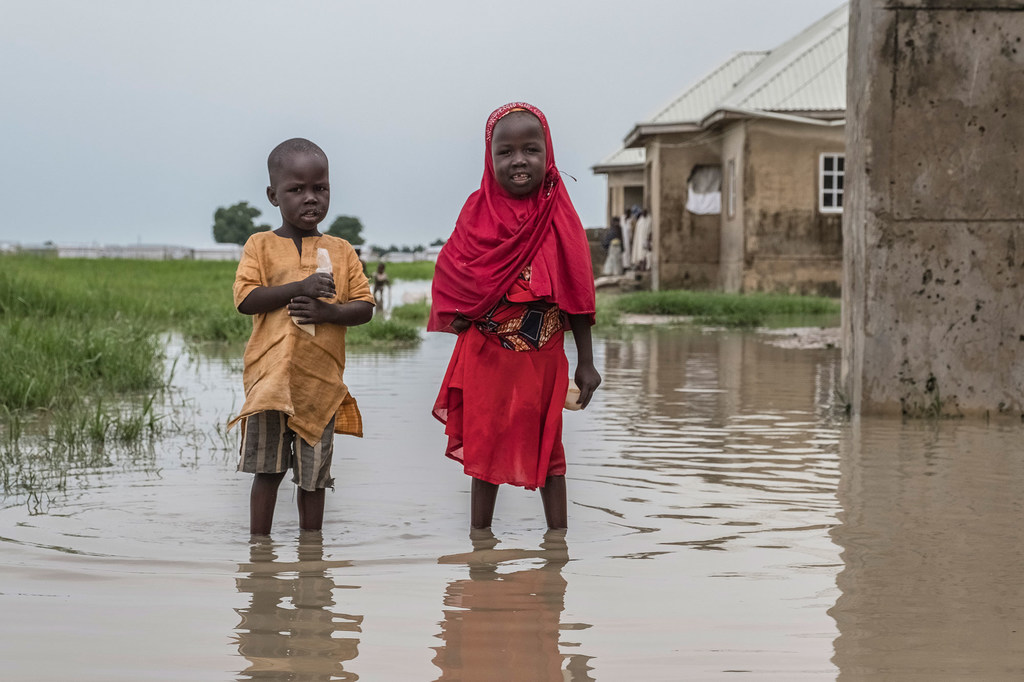 在尼日利亚博尔诺州，两名儿童站在洪水中。