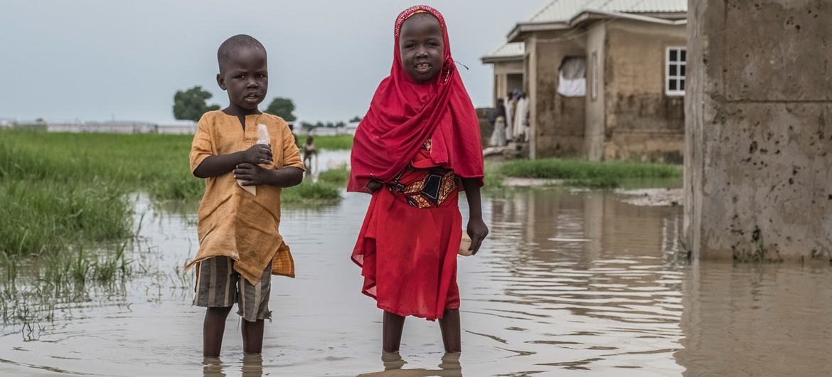 在尼日利亚博尔诺州，两名儿童站在洪水中。
