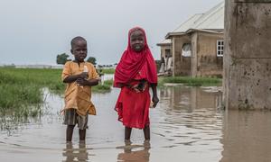Children stand in a flood water in Borno State, Nigeria.