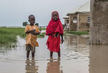 Des enfants se tiennent debout dans une eau de crue dans l'État de Borno, au Nigeria.