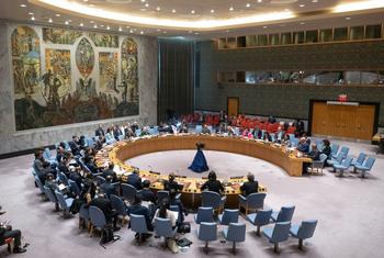 Заседание Совета Безопасности.