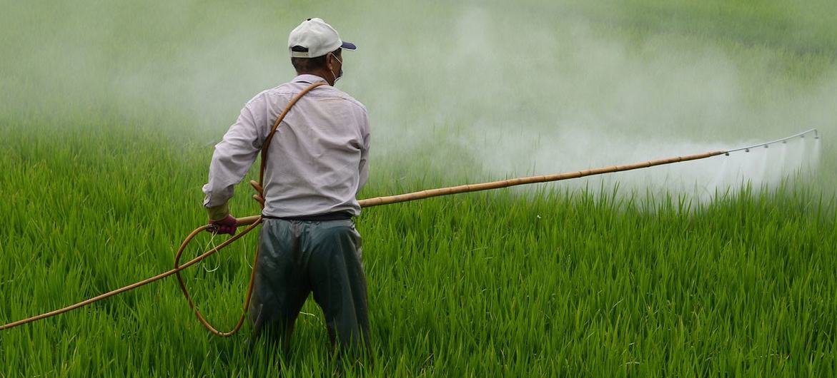 Os pesticidas são altamente perigosos