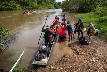 Número de migrantes que cruzam irregularmente para o Panamá passando pelo Estreito de Darién atingiu um recorde no ano passado