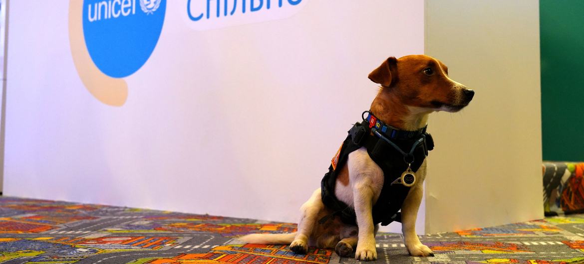 乌克兰著名扫雷犬“子弹”被联合国儿童基金会授予“亲善犬”称号。
