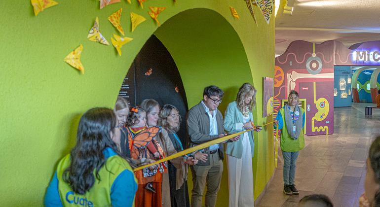 ONU Derechos Humanos, OIM y Papalote Museo del Niño inauguran “Pequeñas Alas, Gran Impacto”, una experiencia artística y participativa que invita a las infancias y sus familias a reflexionar sobre la migración y la bondad. 