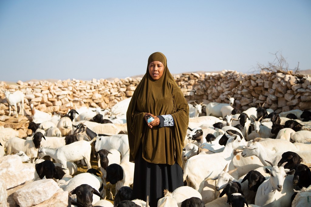 Hayat, une agricultrice avec son bétail dans sa ferme près de Badham, en Somalie