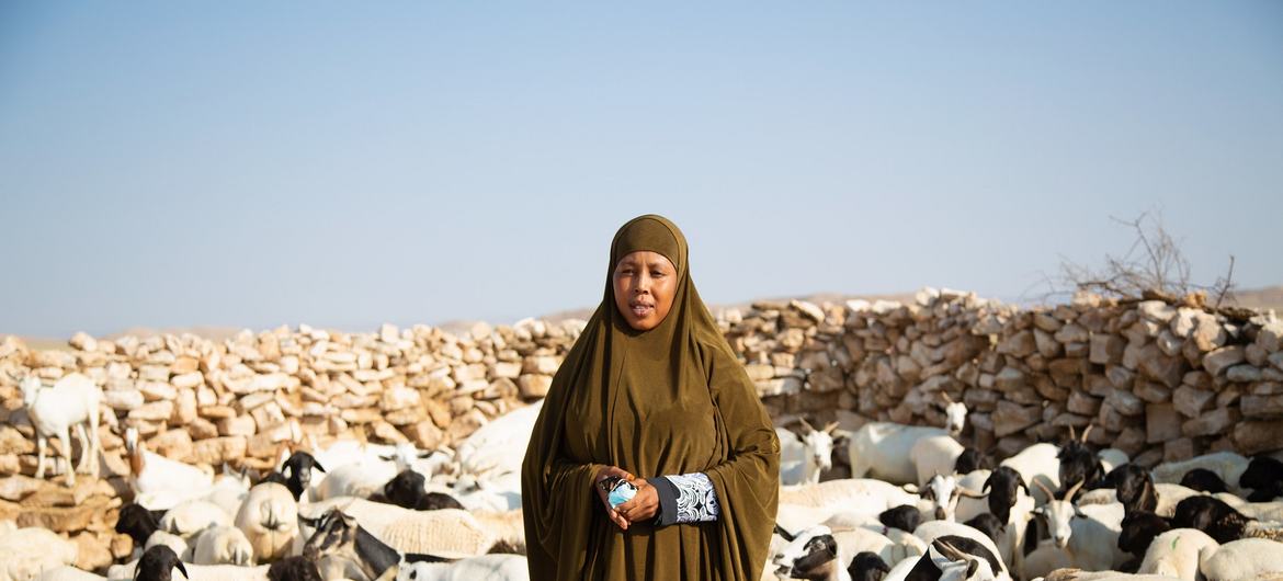 السيدة حياة، مزارعة، تقف لالتقاط صورة مع ماشيتها في مزرعتها بالقرب من بادهام، الصومال.