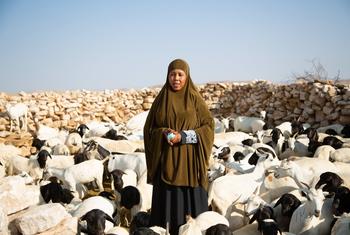 حياة، مزارعة، تقف لالتقاط صورة مع ماشيتها في مزرعتها، الصومال.