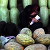 一名阿富汗女孩从卖西瓜的工作中抽出一点时间来做作业。