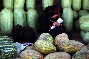 一名阿富汗女孩从卖西瓜的工作中抽出一点时间来做作业。