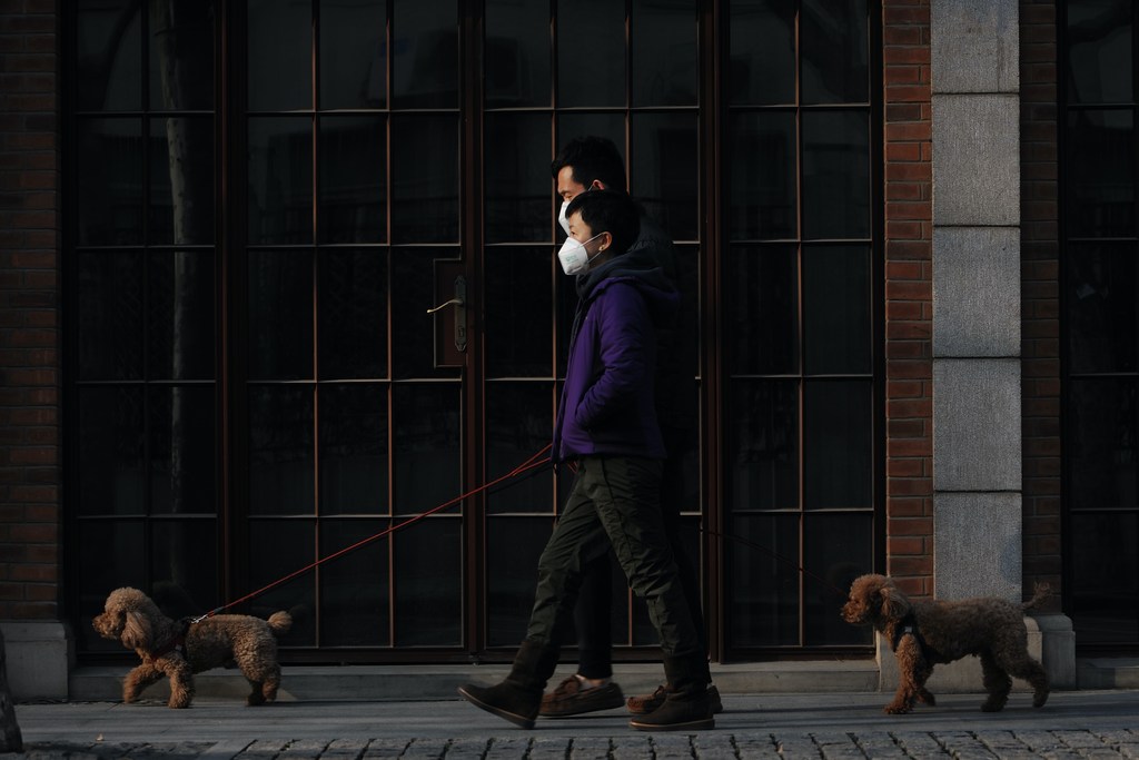 Dos peatones paseando a sus perros en la ciudad china de Shanghai durante la pandemia de COVID-19. (Foto de archivo)